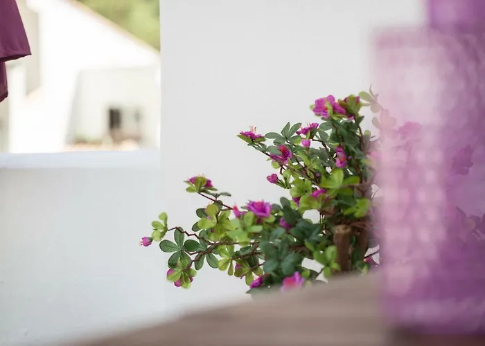 Beachside Cosy With Pool Appartement *