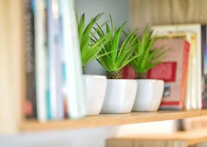 Appartement Beachside Cosy With Pool