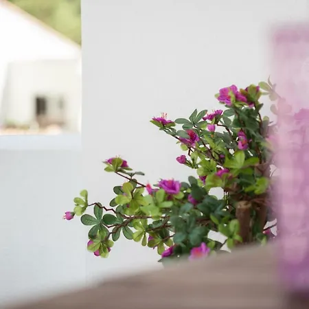 Beachside Cosy With Pool Apartmán *