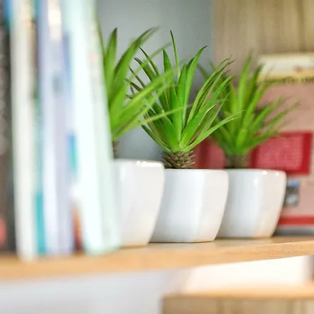 Apartmán Beachside Cosy With Pool